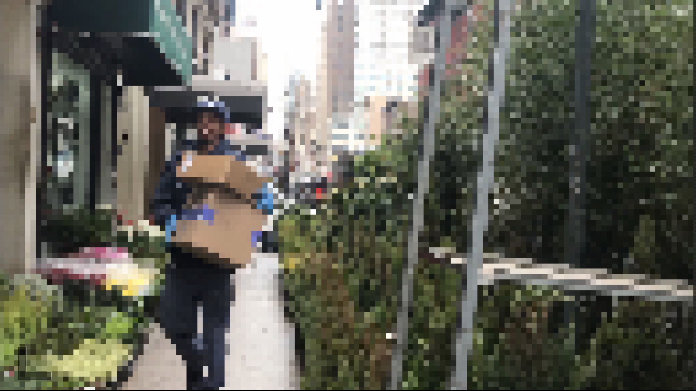 A pixelated photo of a man carrying two boxes on the street through midtown Manhattan between many potted plants on the ground and on shelves