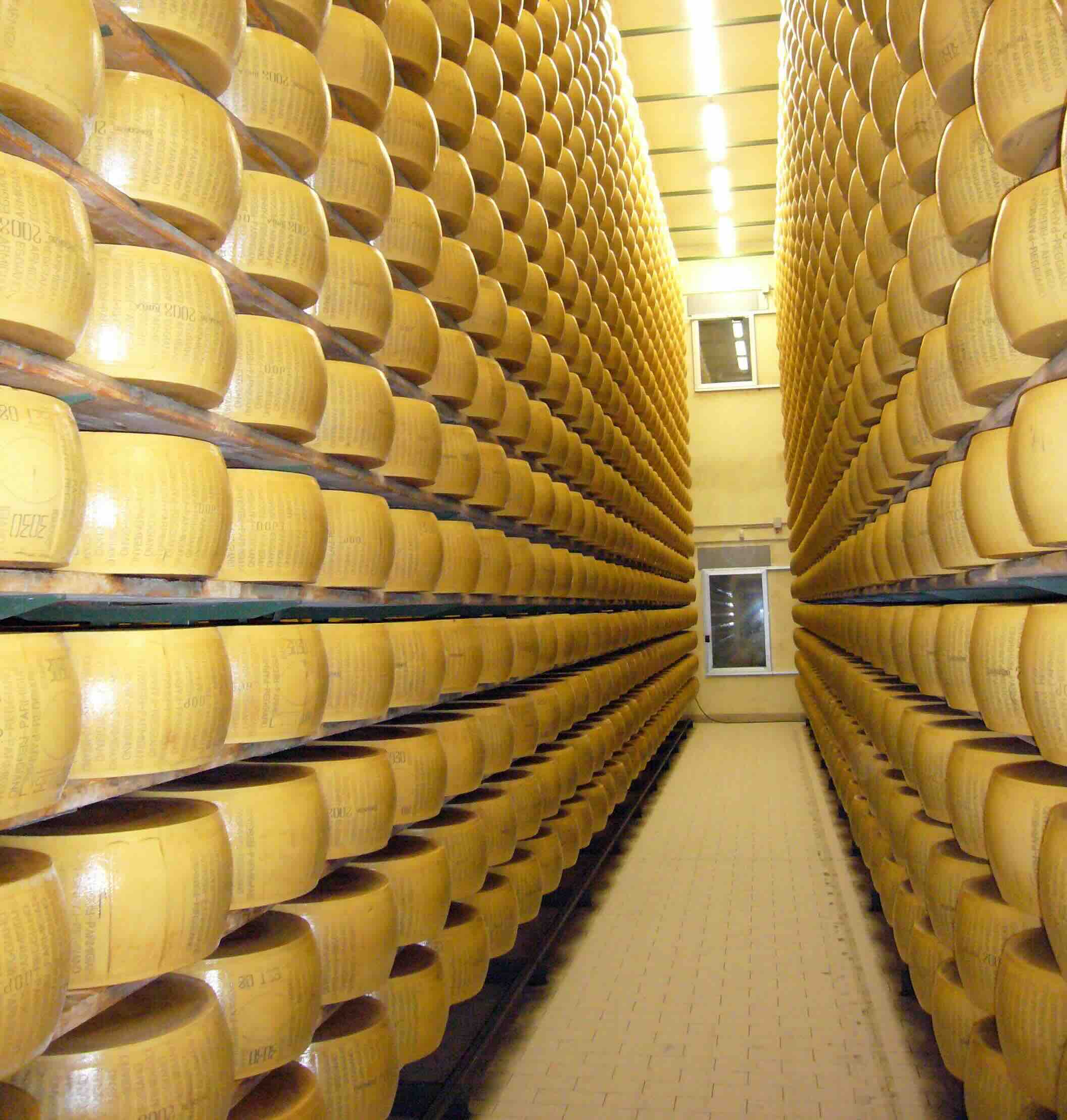 a room full of huundreds of aging wheels of cheese.