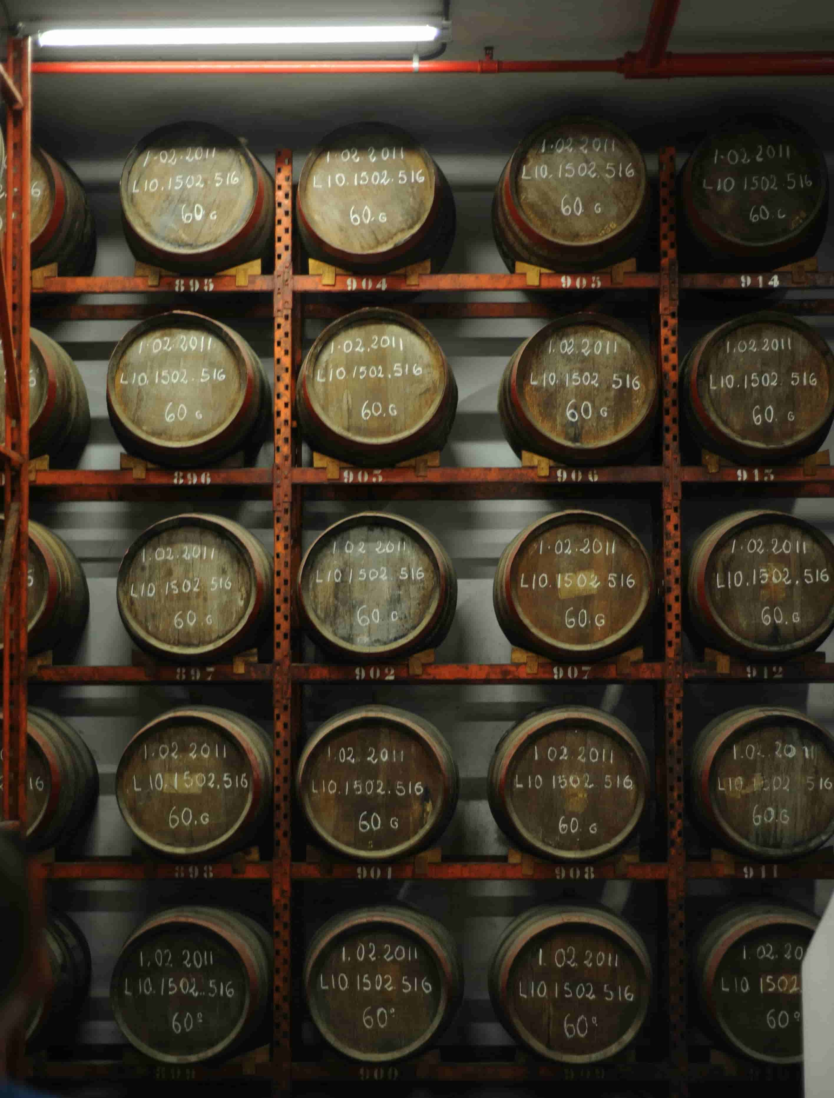 a wall of 20+ stacked barrels, aging some food or beverage item.